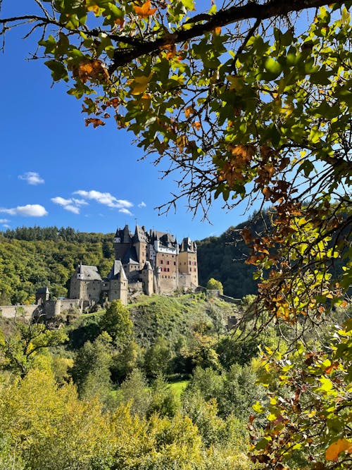 Fotobanka s bezplatnými fotkami na tému eltz hrad, flóra, hory