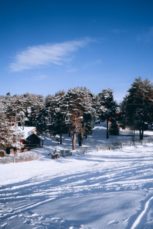 Free Tranquil snowy landscape featuring pine trees, a cabin, and clear blue sky in winter. Stock Photo