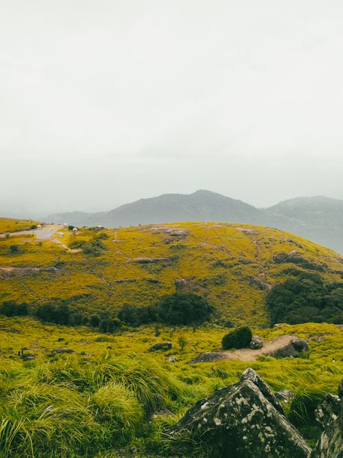 Free Capture the vibrant greenery of Ponmudi's rolling hills in Kerala, India. Stock Photo