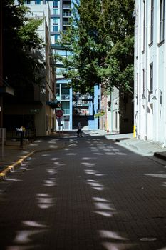 Peaceful urban street scene in Seattle with dappled shadows and one pedestrian crossing.