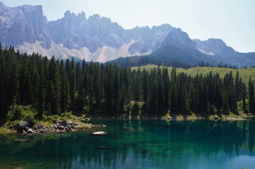 Foto profissional grátis de água, floresta, lago