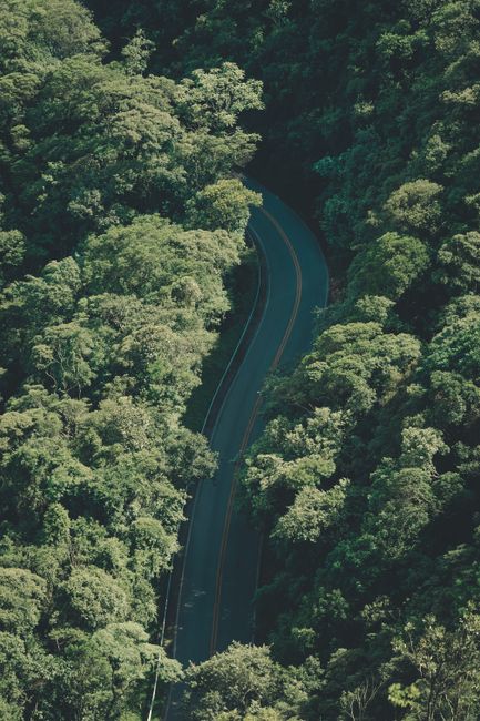 Aerial shot of a scenic winding road through lush forest in São Paulo, Brazil.