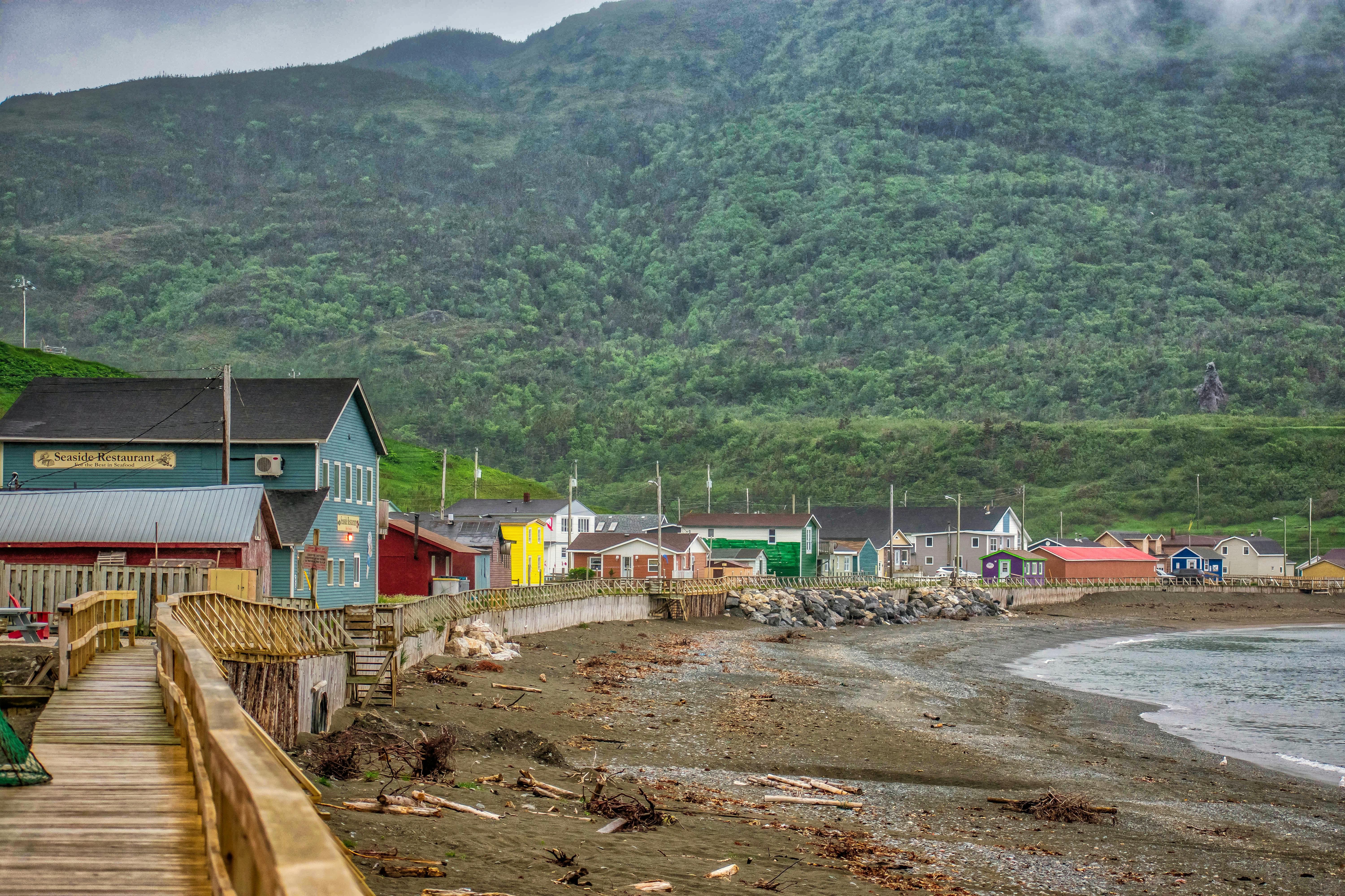 Free stock photo of ocean, trout river board warlk