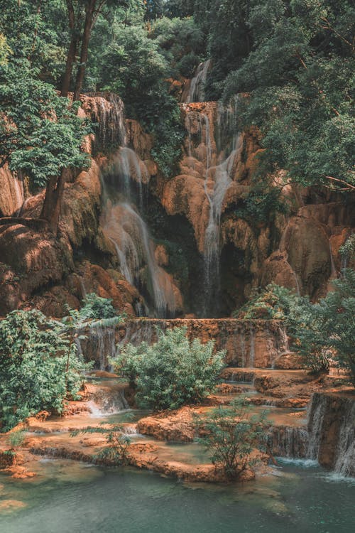 Waterfall in Forest