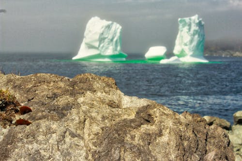 Foto d'estoc gratuïta de gel, icberg, oceà