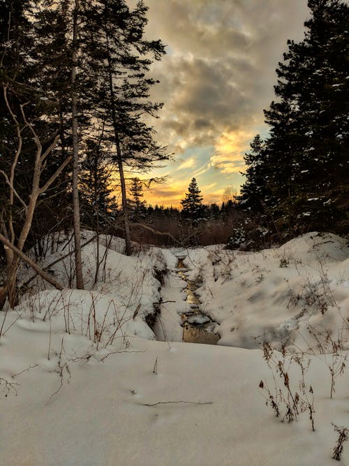 Бесплатное стоковое фото с закат, зима, зимний закат
