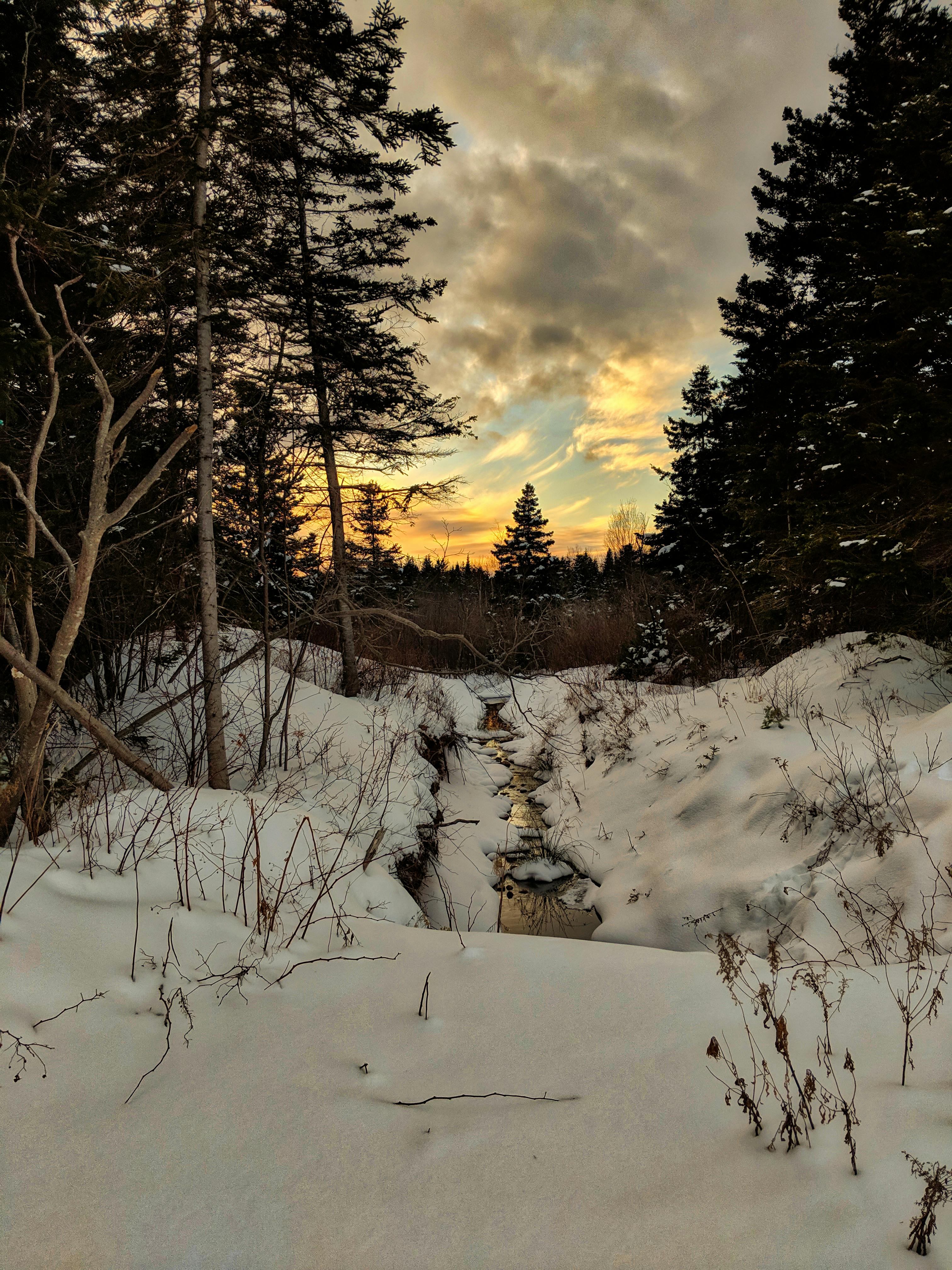 Free stock photo of sunset, winter, winter sunset
