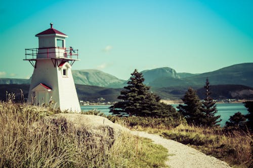 Free stock photo of gros morne, lighthouse, newfoundland