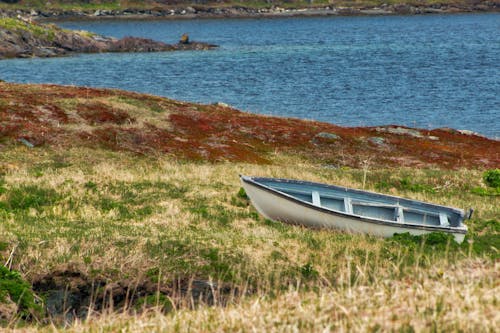 Бесплатное стоковое фото с заброшенная лодка, заброшенный, лодка