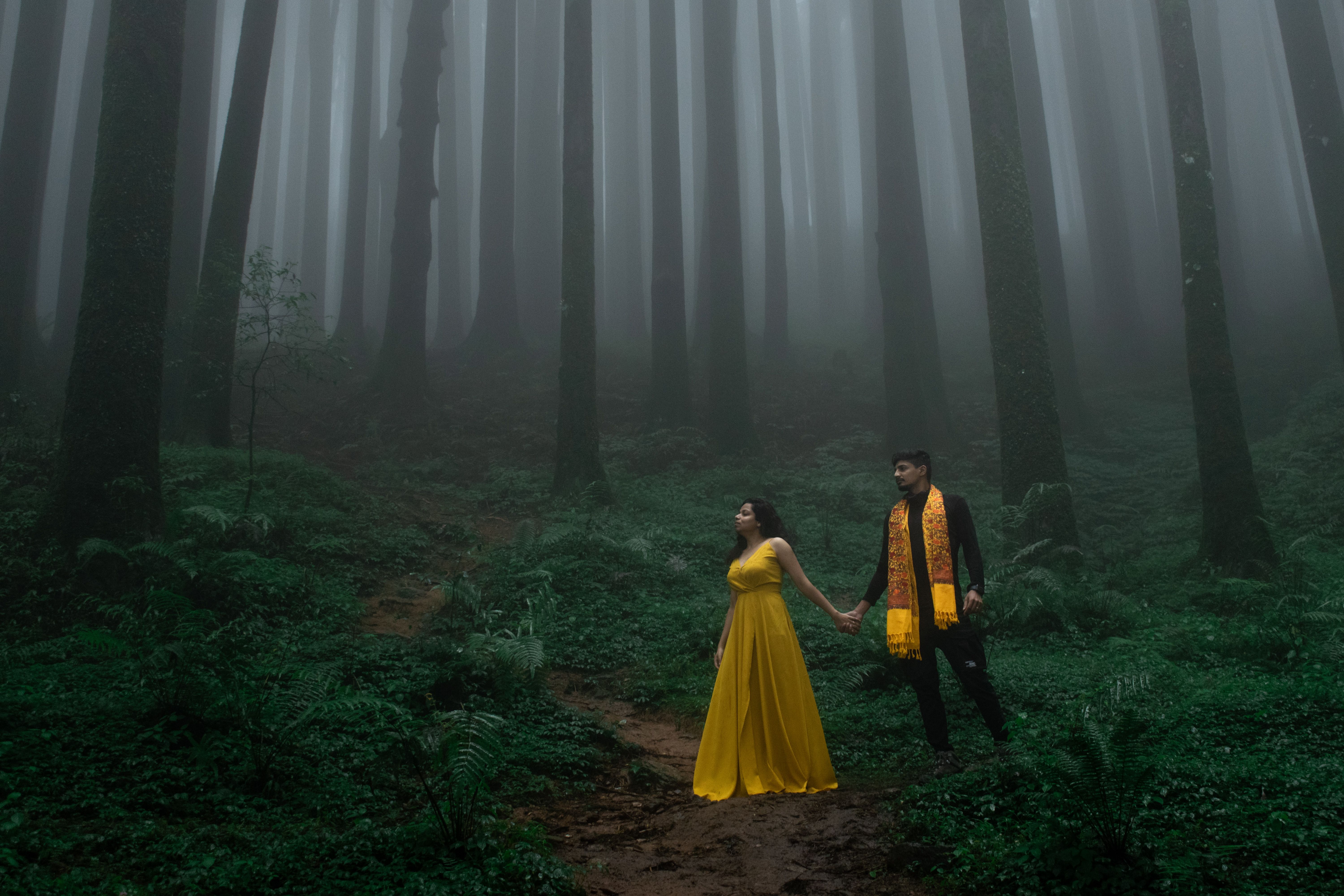 Couple Standing in Forest and Holding Hands · Free Stock Photo