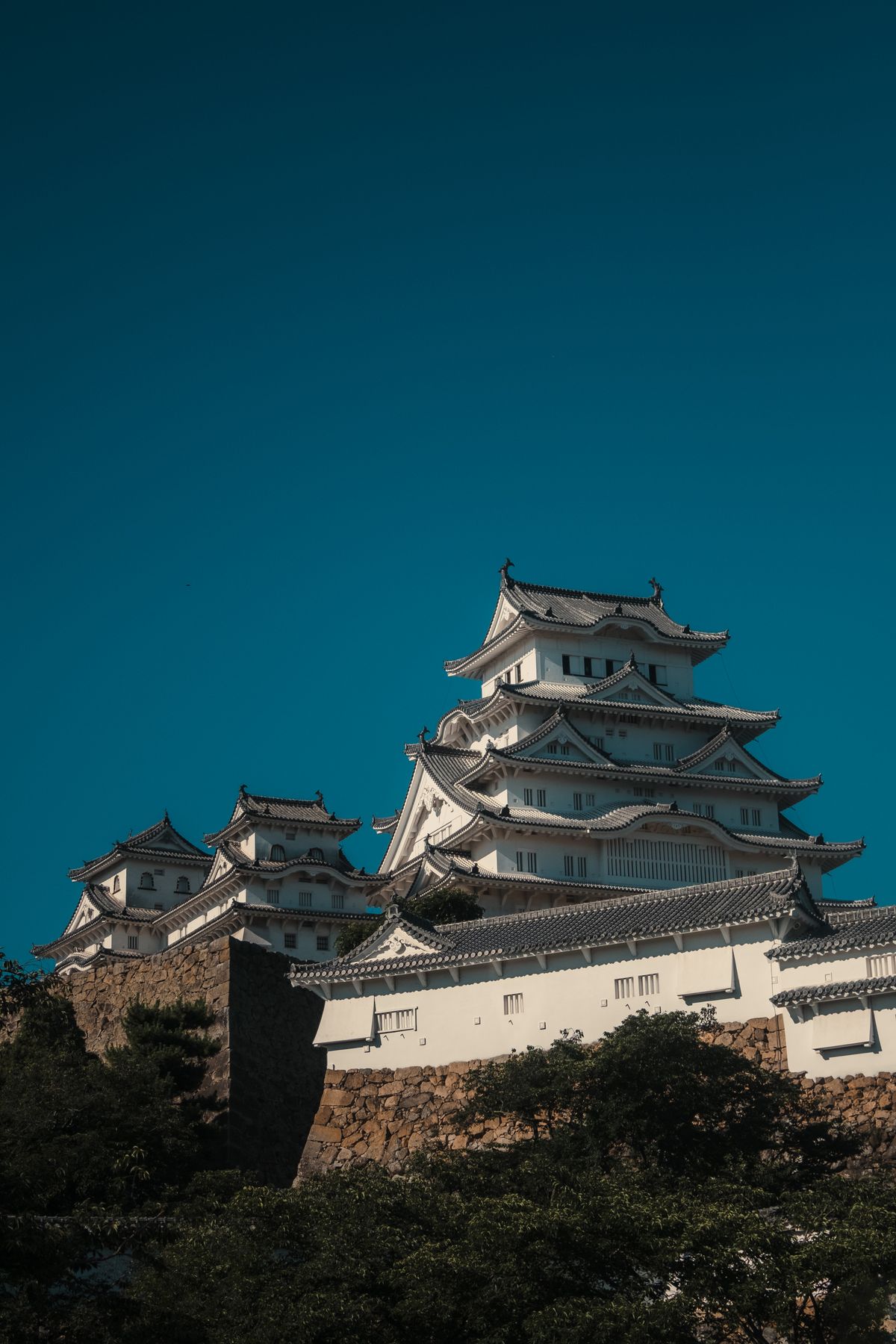 Stunning view of Himeji Castle showcasing traditional Japanese architecture surrounded by trees