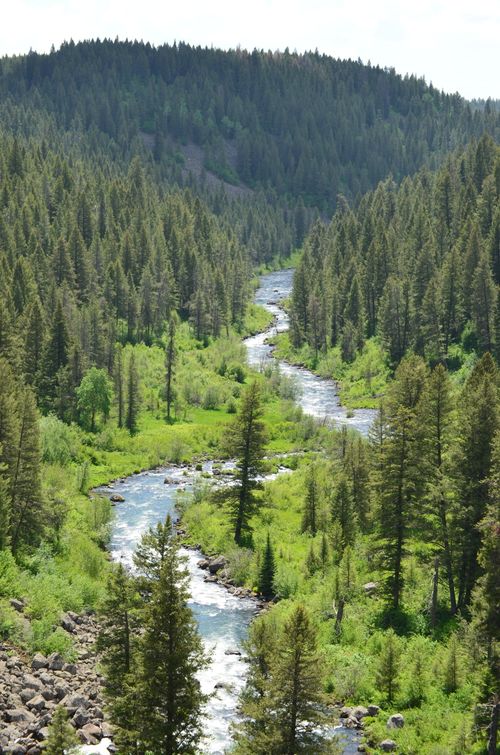 Free Beautiful forest landscape with a winding river in Warm River, Idaho. Stock Photo