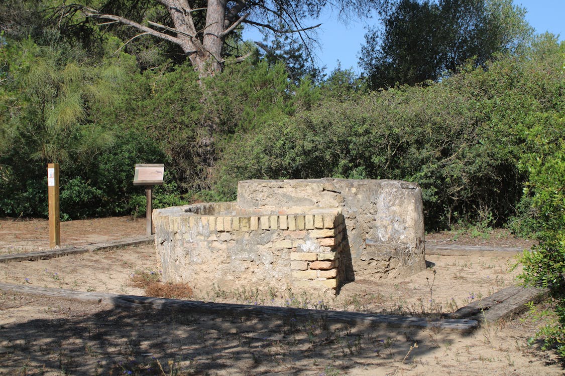 pozo de la rúbrica en Puerto Real