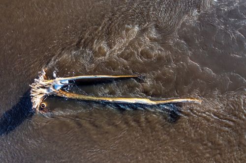 Free Aerial view of driftwood surrounded by flowing water, creating dynamic wave patterns. Stock Photo