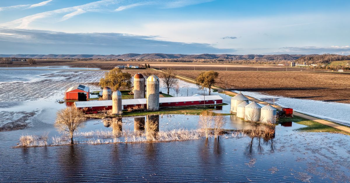 Aerial view of a rural farm with silos and flooded fields in Kellogg, Minnesota showing springtime landscape.