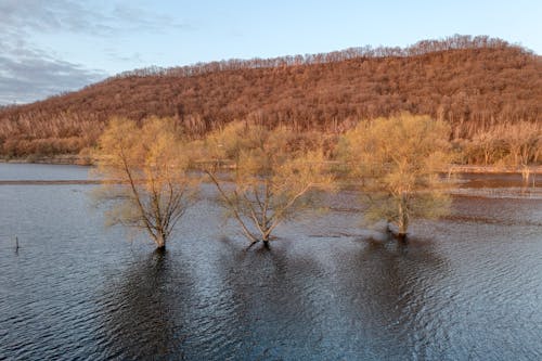 Ilmainen kuvapankkikuva tunnisteilla droonikuva, joki, mäki