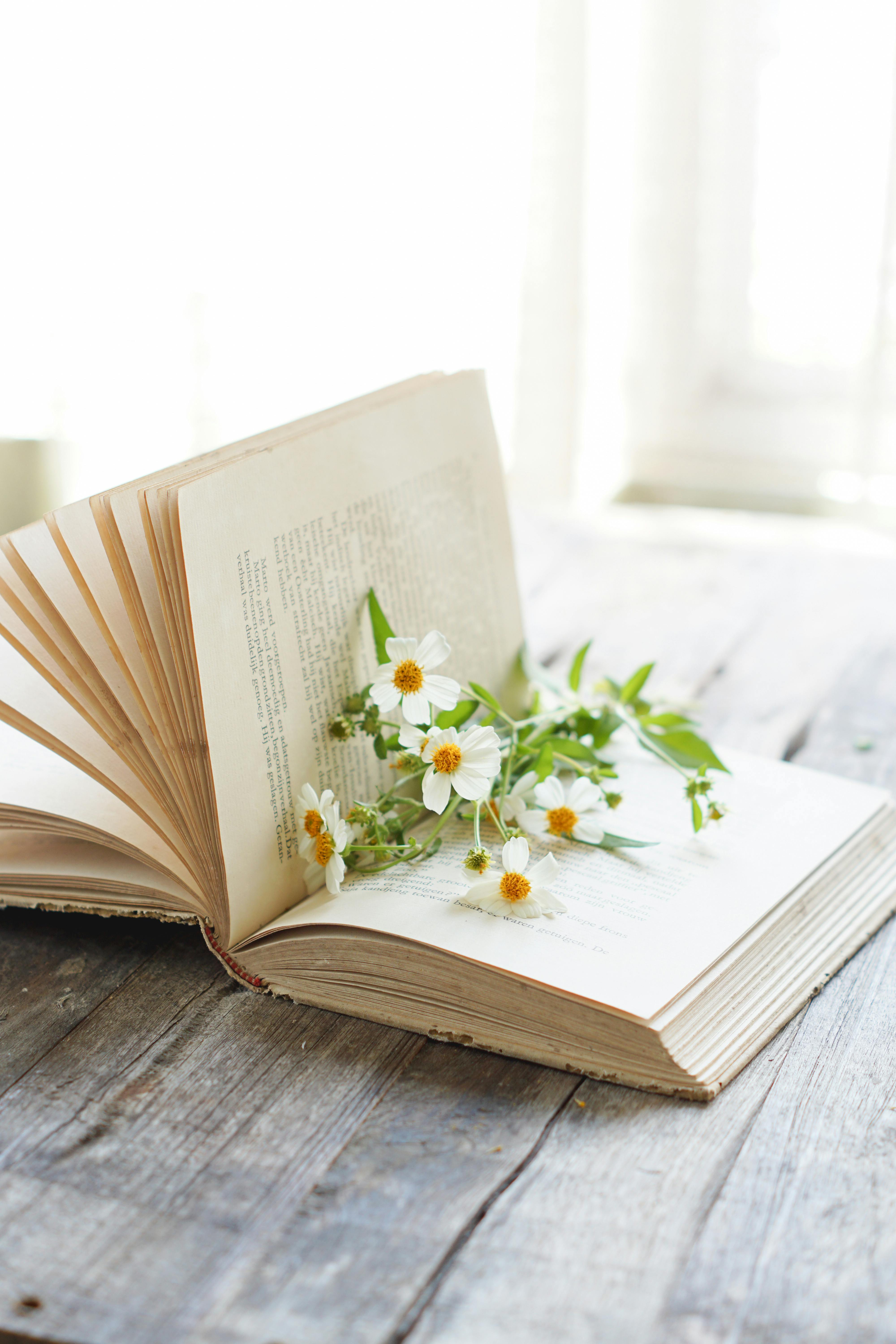 An open book with wildflowers resting on its pages on a rustic wooden table, evoking a sense of tranquility and nature.