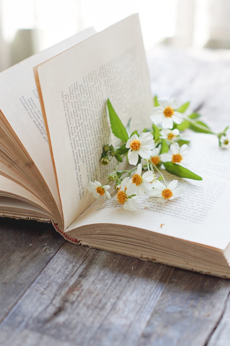 White Flowers On Book Pages