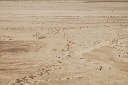 Sunlit Desert with Dirt Road