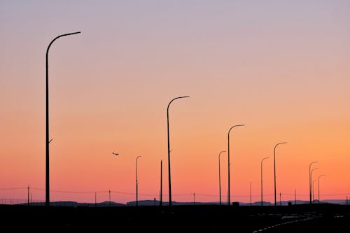 Clear Sky over Street Lamps at Sunset