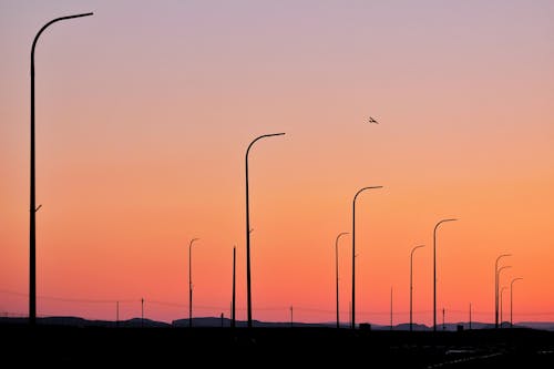 Clear, Yellow Sky over Street Lamps at Sunset