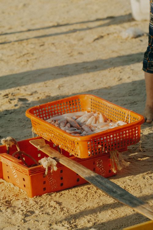 Free Close-up of freshly caught fish in orange baskets on a sandy beach during the day. Stock Photo