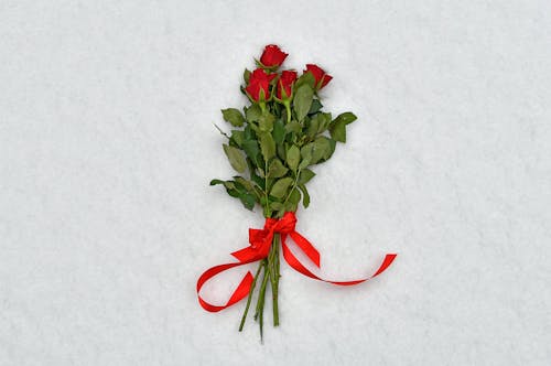 Безкоштовне стокове фото на тему «квіти, квітка троянди, пелюстки»