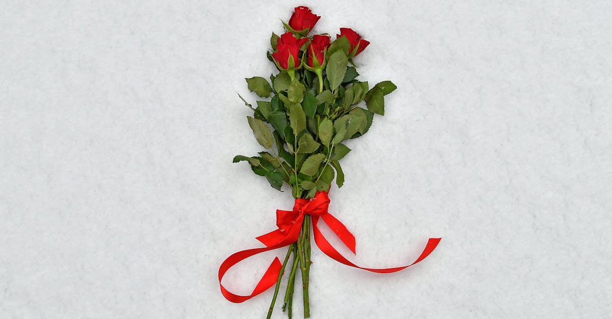 Four Red Roses On White Textiles · Free Stock Photo