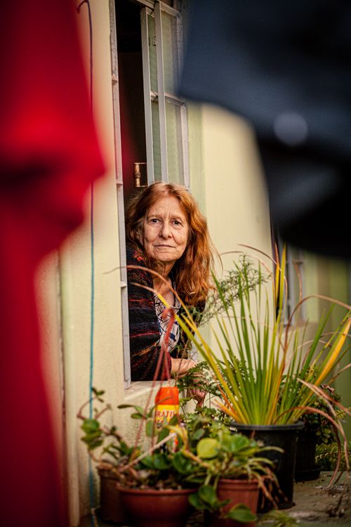 Free A senior woman looks out her window, surrounded by vibrant potted plants. Stock Photo