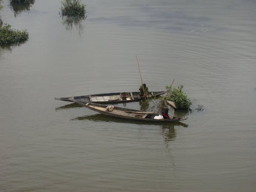 Free stock photo of boat