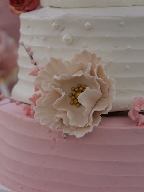 Gratis stockfoto met bloem, cake, decoratie