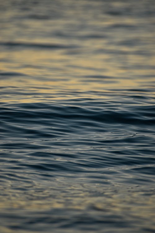 Close-up of the Water Surface