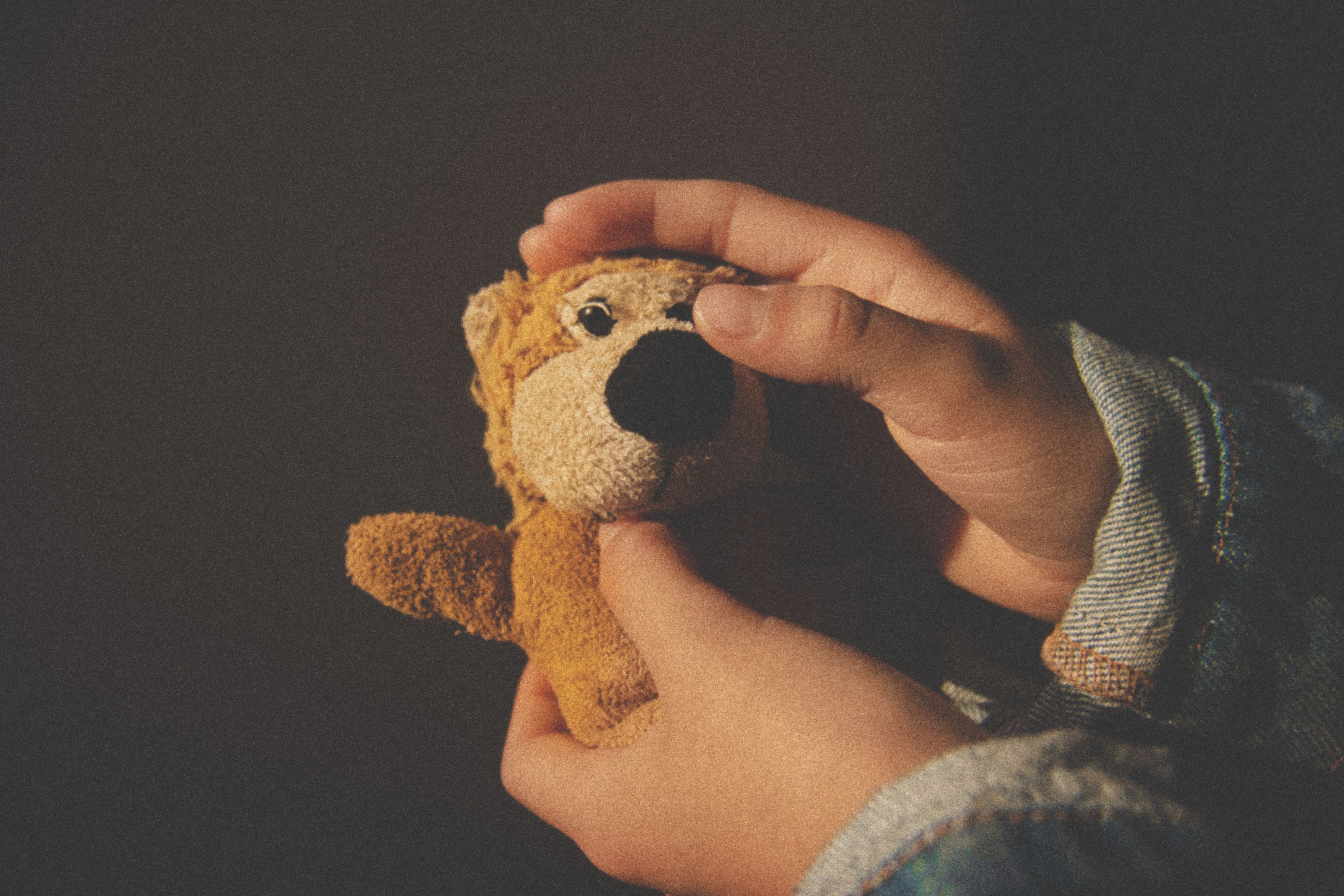 Warm, cozy atmosphere with hands cradling a small plush toy lion in soft light.