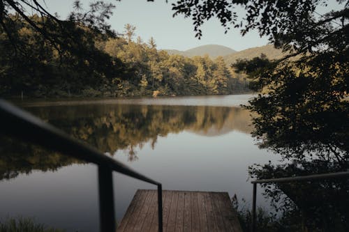 Безкоштовне стокове фото на тему «дерева, ліс, озеро»