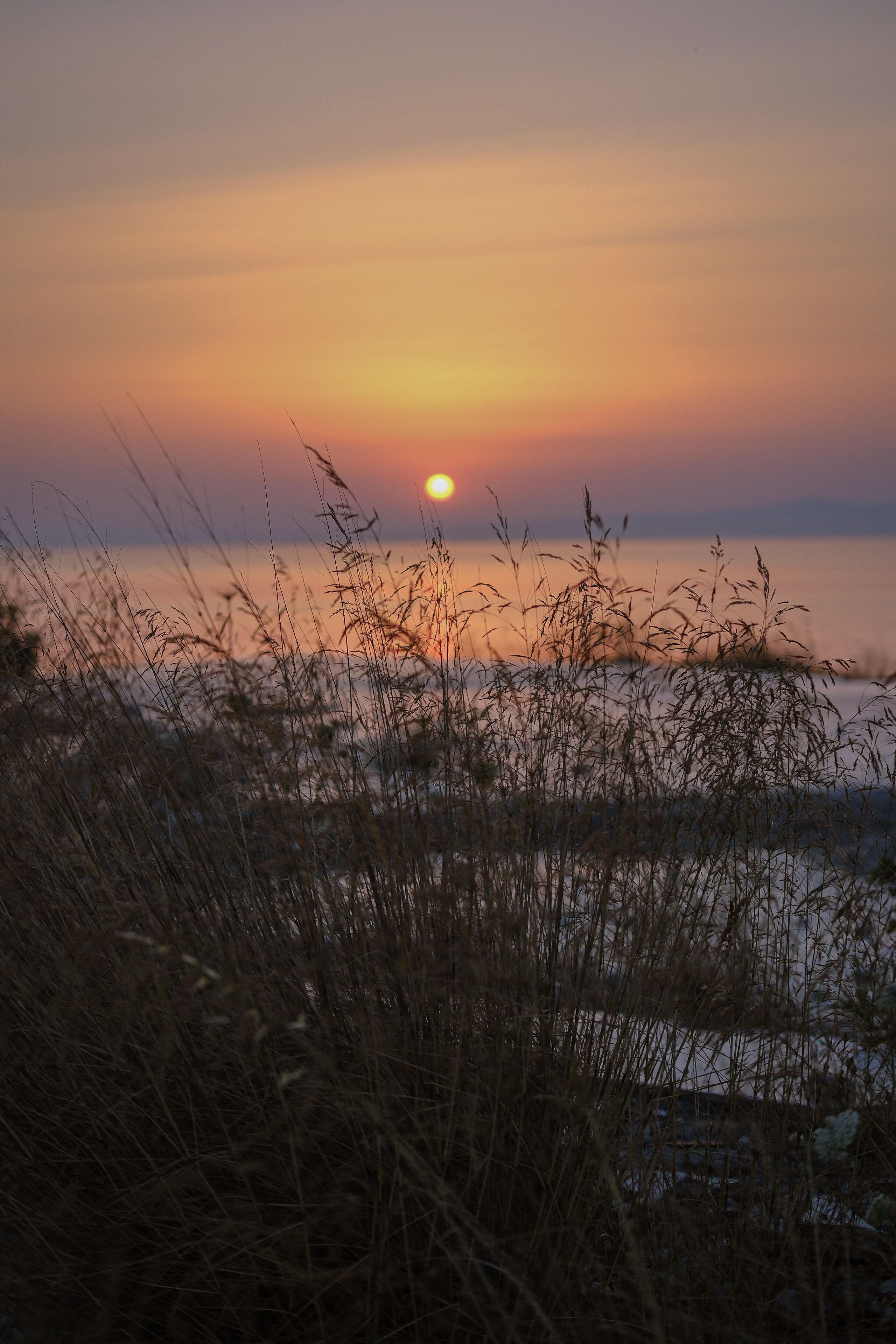 A sunset over the ocean with grass and water · Free Stock Photo