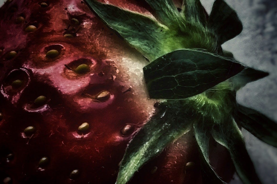 Free stock photo from Mel · Pexels