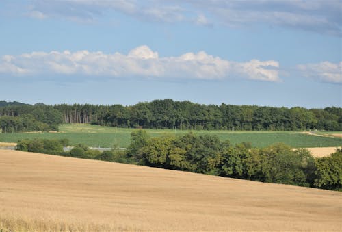 Darmowe zdjęcie z galerii z błękitne niebo, boiska, brązowe pole