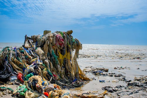 Бесплатное стоковое фото с загрязнение воды, море, мусор