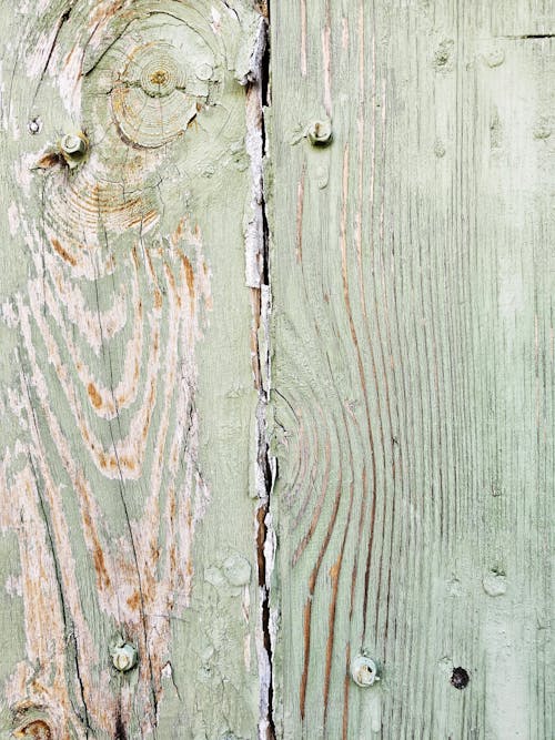 Free stock photo of green door