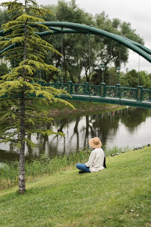 公園, 坐, 垂直拍摄 的 免费素材图片