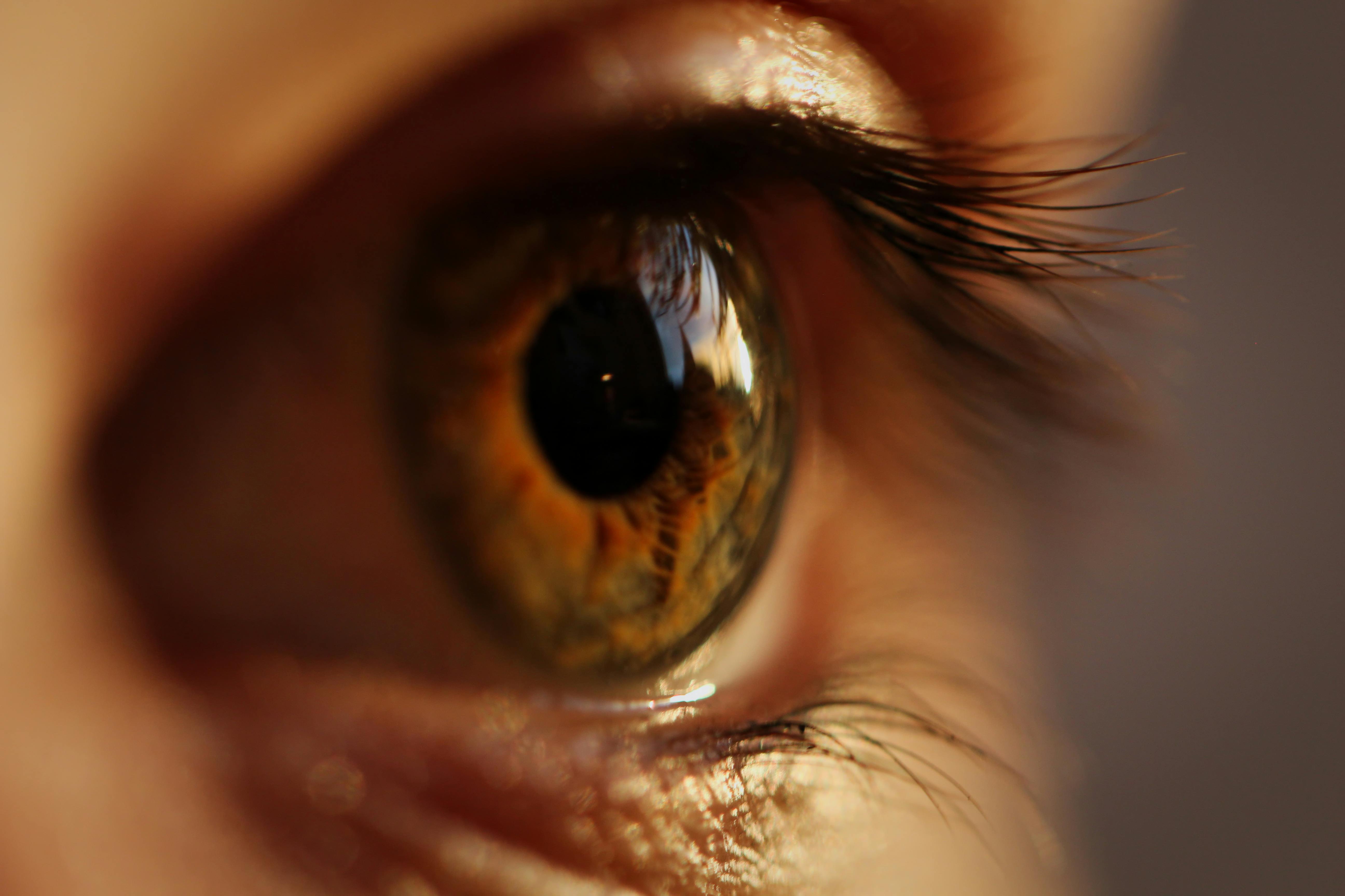 Close-up Photography Of Person's Eye · Free Stock Photo