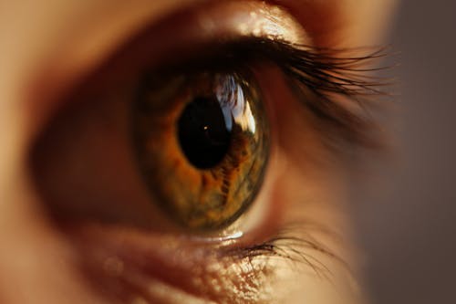 Фотография крупным планом человеческого глаза