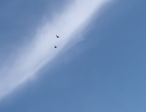구름, 날으는, 로우앵글 샷의 무료 스톡 사진