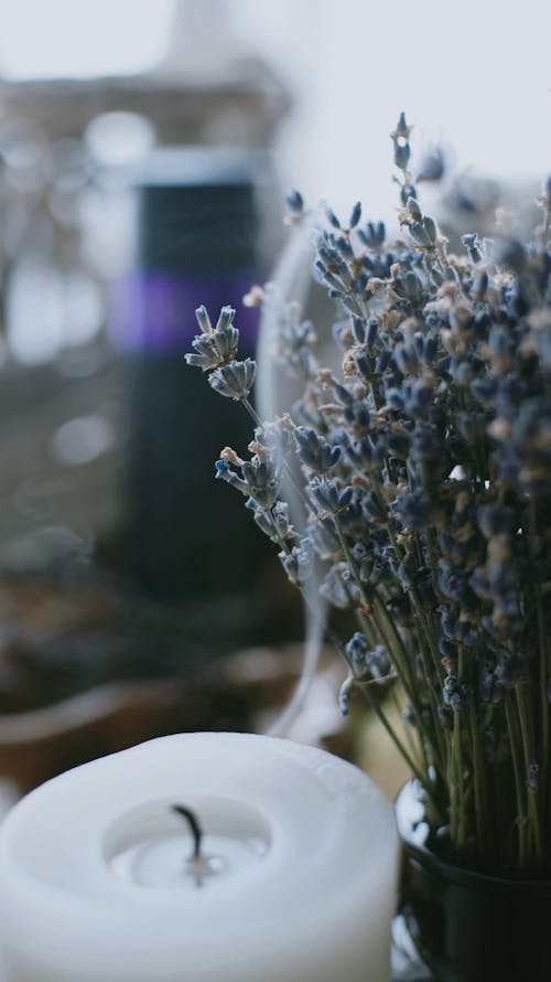 Thin Flowers near Wax Candle