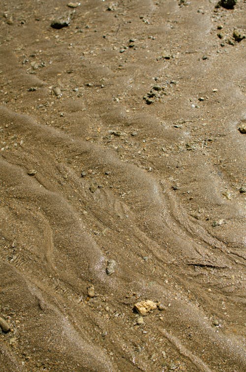 Wet Sand on Ground