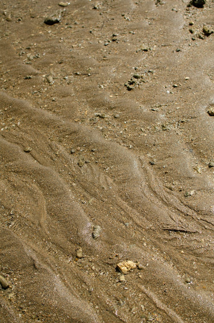 Wet Sand On Ground