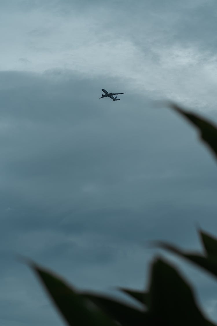 Airplane Flying Under Clouds