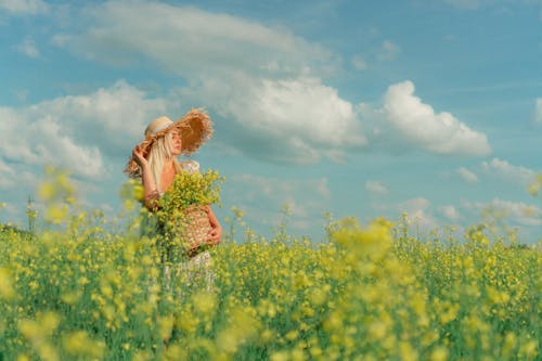 Kostnadsfri bild av blommor, blond, fält