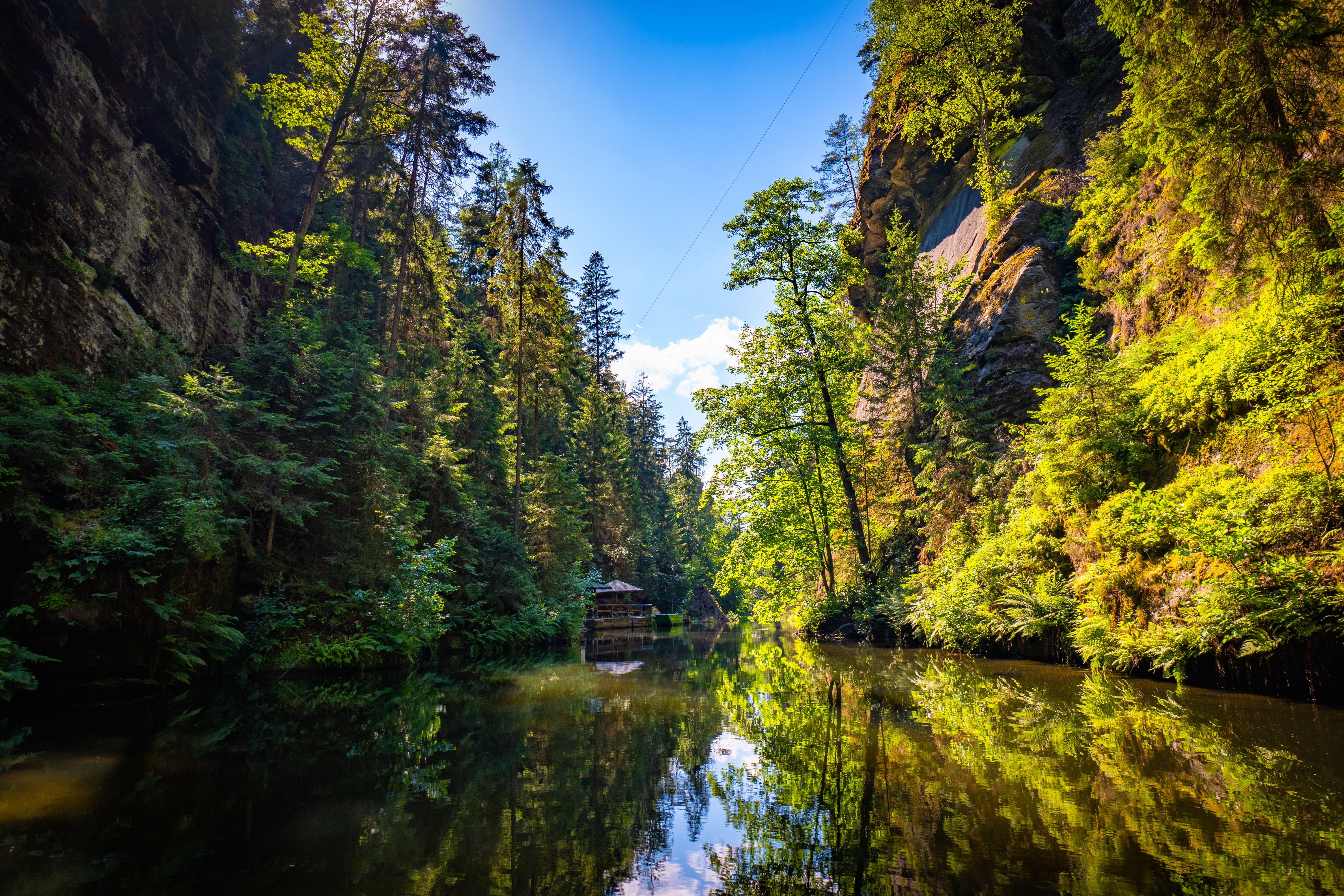 A river canyon surrounded by dense forest and rocky cliffs