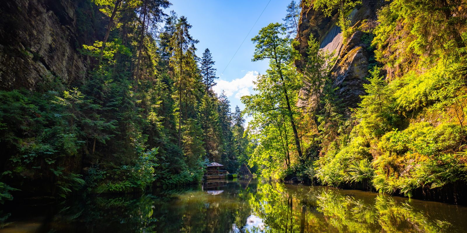 A river canyon surrounded by dense forest and rocky cliffs